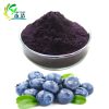 Blueberry Extract Anthocyanidins