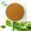 Ginkgo Biloba leaves extract 24/6