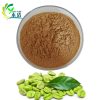 Green Coffee Bean Extract Chlorogenic acid 50%