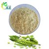 Pea protein isolate powder