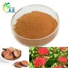 Rhodiola Rosea Extract