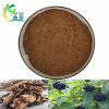 Siberian Ginseng Extract