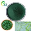 Spirulina powder