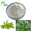 Stevia Leaf Extract Steviosides