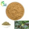 Tribulus Terrestris Extract Powder