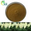 Yucca Extract Saponin