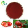 Lycopene Powder