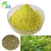 Sophora Japonica Flower Extract Rutin