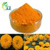 Marigold Extract Zeaxanthin powder