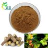 Ashwagandha Extract Withanolide