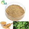 Soybean Extract  Isoflavone Powder