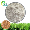 Hydrolyzed wheat protein powder