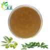 Olive leaf extract oleuropein /Hydroxytyrosol/Oleuropein