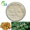 Giant Knotweed Extract Resveratrol