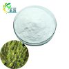 Huperzia Serrata Extract Huperzine A