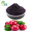 Cranberry Fruit Extract Proanthocyanidins