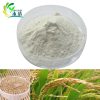 Rice bran extract ferulic Acid 