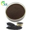 Antioxidant black rice extract 25% Anthocyanidin