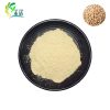 Soy Lecithin powder