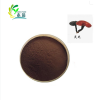 Reishi Mushroom  extract Wall-Broken Ganoderma Lucidum Spore Powder